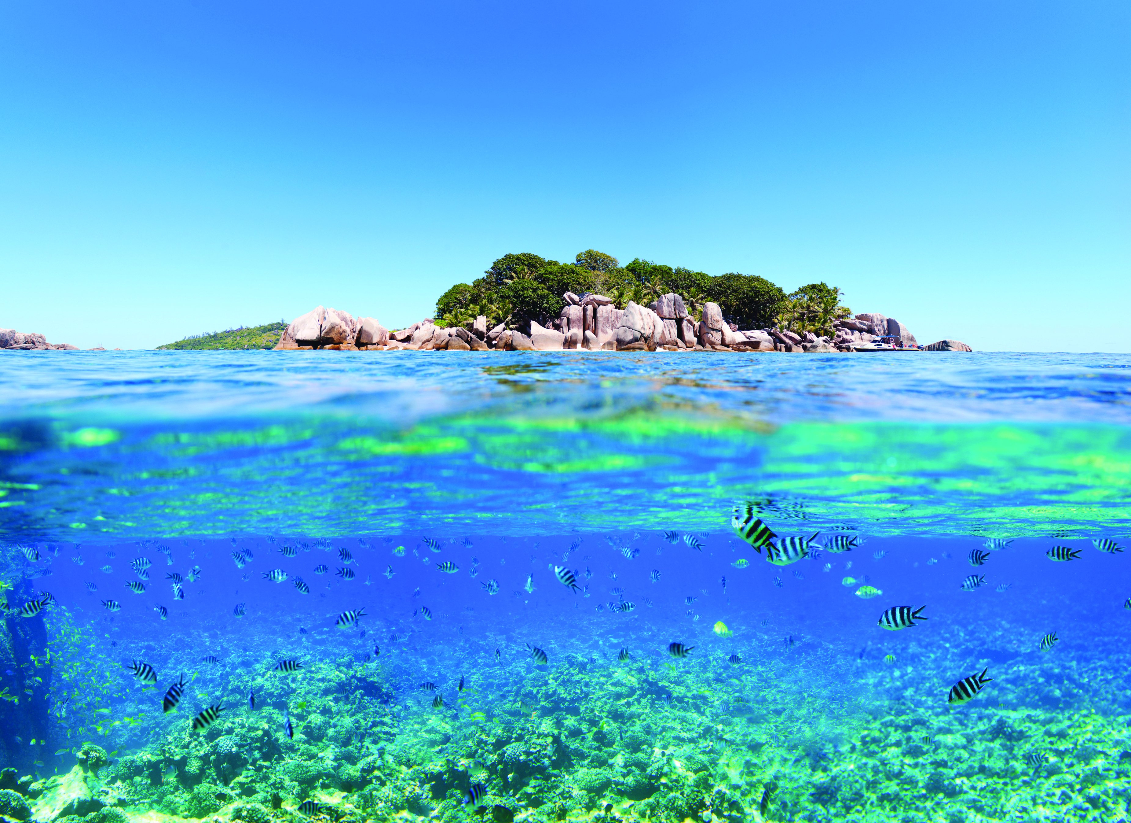 Seychelles La Digue  111971706